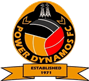 team-logo