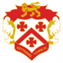 team-logo
