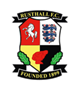 team-logo