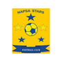 team-logo