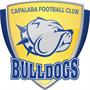 team-logo