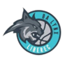Lynx Liberec