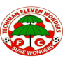 team-logo