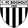 team-logo