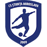 team-logo