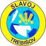 team-logo