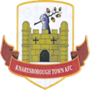team-logo