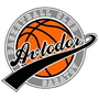 Saratov Avtodor