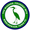 team-logo