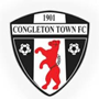 team-logo
