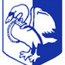 team-logo