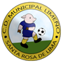 team-logo