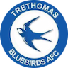 team-logo