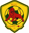 team-logo