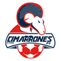team-logo