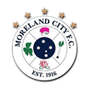 team-logo