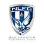 team-logo