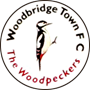 team-logo