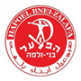 team-logo