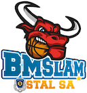 Stal Ostrow