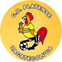 team-logo