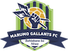 team-logo