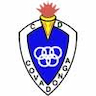 team-logo