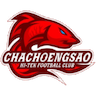 team-logo