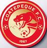 team-logo