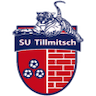 team-logo