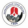 team-logo
