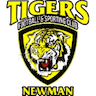 team-logo