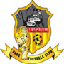 team-logo