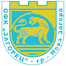 team-logo