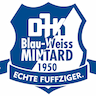 team-logo