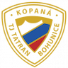 team-logo
