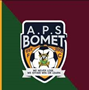 team-logo