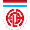 team-logo