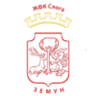 team-logo