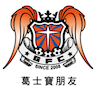team-logo