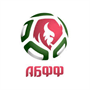 team-logo