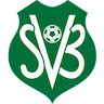 team-logo