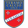 team-logo