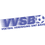 team-logo