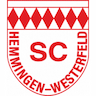 team-logo