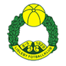 team-logo