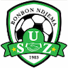 team-logo