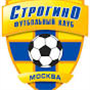 team-logo