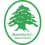 team-logo