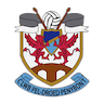team-logo